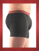 Mens Padded Bathing Suit